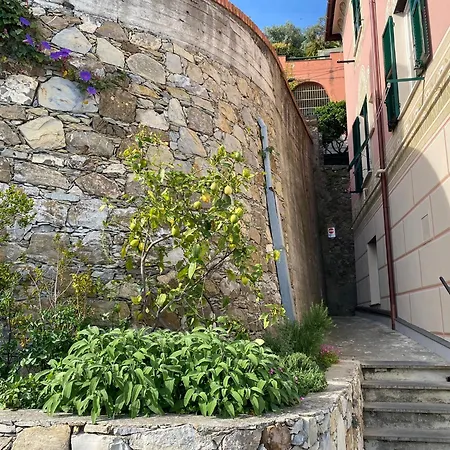 Lacosta * Genoa