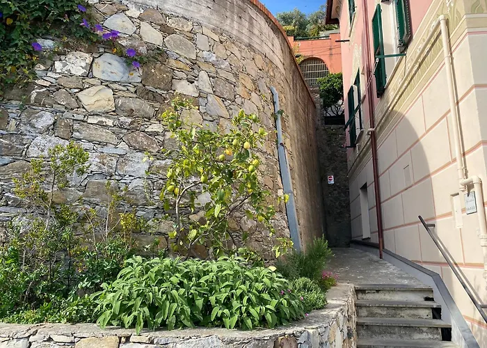 Lacosta * Genua